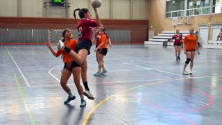 Final Balonmano FECEM -Cerbuna